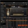 IK Multimedia Brown Sound '78-'79 Signature Collection for TONEX (TXP) IK Multimedia Brown Sound '78-'79 Signature Collection for TONEX (TXP)