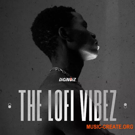 Diginoiz The Lofi Vibez