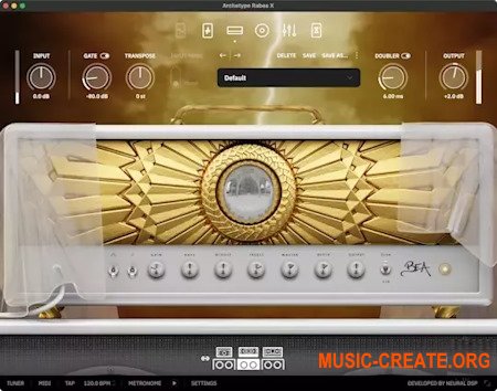 Neural DSP Archetype Rabea X v1.0.1