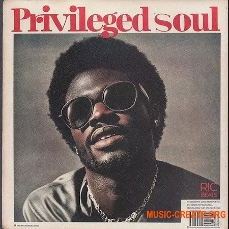 Ric Beats Privileged Soul Sample Pack