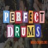 Adieu Perfect Drums (WAV MiDi FL STUDiO) Adieu Perfect Drums (WAV MiDi FL STUDiO)