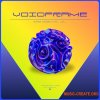 Connexio VOIDFRAME Connexio and TendonCutter Bass Essentials Vol.1 (WAV, Vital, Serum 2 Presets) Connexio VOIDFRAME Connexio and TendonCutter Bass Essentials Vol.1 (WAV, Vital, Serum 2 Presets)