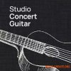 VSL Vienna Symphonic Library Studio Concert Guitar (VSL Synchron Player) VSL Vienna Symphonic Library Studio Concert Guitar (VSL Synchron Player)