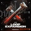 Teknovault Acid Loop Expansion Vol. 1 (WAV MiDi) Teknovault Acid Loop Expansion Vol. 1 (WAV MiDi)