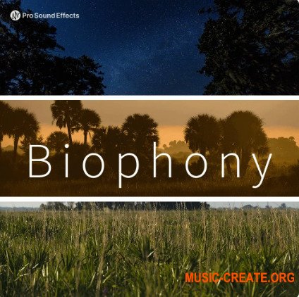 Pro Sound Effects Biophony (WAV)