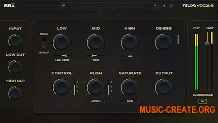 Black Salt Audio Telos Vocals v1.0.12