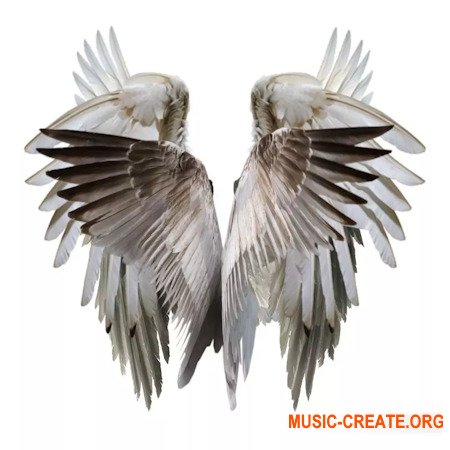 HOLOGRAM Nocturne Drum Kit