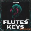 Sample Hub Flutes and Keys (WAV) Sample Hub Flutes and Keys (WAV)