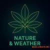 Camryn Jackson Sfx Volume 4 Animals, Nature And Weather (WAV) Camryn Jackson Sfx Volume 4 Animals, Nature And Weather (WAV)