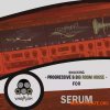Vandalism Shocking Progressive & Big Room House For Serum (MiDi, Serum 2 Presets) Vandalism Shocking Progressive & Big Room House For Serum (MiDi, Serum 2 Presets)