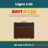 Audio Assault Ligne Lab BRIT AC30 SILVER (Amp Locker Cabs Presets IRs) Audio Assault Ligne Lab BRIT AC30 SILVER (Amp Locker Cabs Presets IRs)