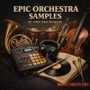 RMD BeatMaker! Epic Orchestra Samples 4 Beatmakers (WAV) RMD BeatMaker! Epic Orchestra Samples 4 Beatmakers (WAV)