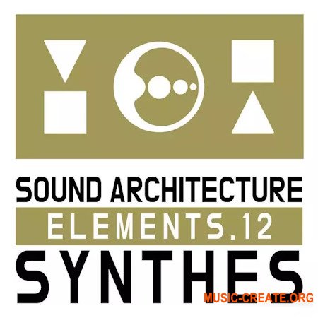 Cari Lekebusch Sae 12 Synthes