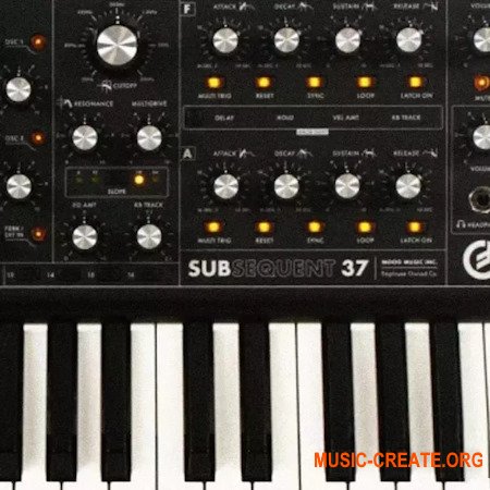 Looma Moog Sub37 Oneshot Sample Pack