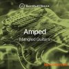 SampleTraxx AMPED: Mangled Guitars (KONTAKT) SampleTraxx AMPED: Mangled Guitars (KONTAKT)