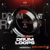 Teknovault Bigroom Techno Drum Loops Vol. 1 (WAV)