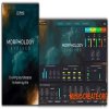 Zero-G Morphology Evolved (KONTAKT)