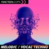 Скидываемся: Function Loops Melodic Vocal Techno (WAV)