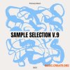 Freenzy Music Freenzy Sample Selection V.9 (WAV) Freenzy Music Freenzy Sample Selection V.9 (WAV)
