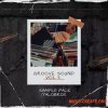 ItaloBros Italobros Groove Sound Vol.3 (WAV) ItaloBros Italobros Groove Sound Vol.3 (WAV)