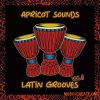 Apricot Sounds Latin Grooves Vol.1 (WAV) Apricot Sounds Latin Grooves Vol.1 (WAV)