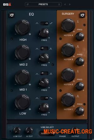Black Salt Audio Instinct EQ