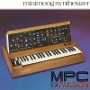 Сubilas Moog MiniMoog MPC Expansion XPN