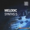 Riemann Kollektion Riemann Melodic Synths 5 (WAV) Riemann Kollektion Riemann Melodic Synths 5 (WAV)
