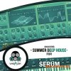 Vandalism Shocking Summer Deep House For Serum (Serum presets, MIDI)
