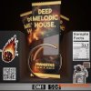 Munchies Jukebox Deep Melodic House Vol.1 (WAV MiDi Serum presets)