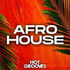 Hot Grooves Afro House (WAV, MiDi, Serum presets) Hot Grooves Afro House (WAV, MiDi, Serum presets)
