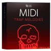 Clark Audio Trap MIDI – MIDI Melodies (MIDI) Clark Audio Trap MIDI – MIDI Melodies (MIDI)