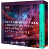 Basic Wavez Organic Afro Fills (WAV)