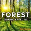Sound Ideas Forest Sound Effects (FLAC) Sound Ideas Forest Sound Effects (FLAC)
