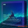 Basic Wavez Melodic Dreams Vol. 1 (Serum 2 Presets) Basic Wavez Melodic Dreams Vol. 1 (Serum 2 Presets)