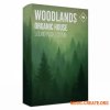 Production Music Live Organic House Sound Pack Woodlands (WAV, Serum 2 Presets, Ableton Project Files) Production Music Live Organic House Sound Pack Woodlands (WAV, Serum 2 Presets, Ableton Project Files)