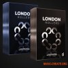 Tech House Market London Rollers - Discount Bundle - Rolling / Underground Tech House Samples & Presets (WAV MIDI Serum 2 Presets) Tech House Market London Rollers - Discount Bundle - Rolling / Underground Tech House Samples & Presets (WAV MIDI Serum 2 Presets)