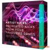 Basic Wavez Artist Kicks Vol.1 (WAV)