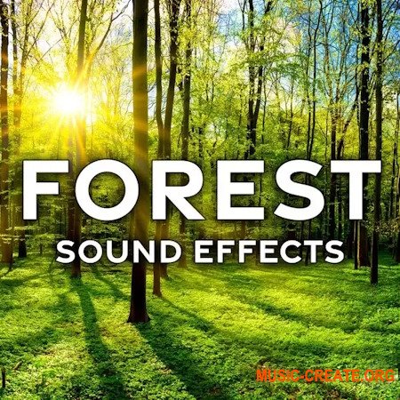 Sound Ideas Forest Sound Effects (FLAC) Sound Ideas Forest Sound Effects (FLAC)