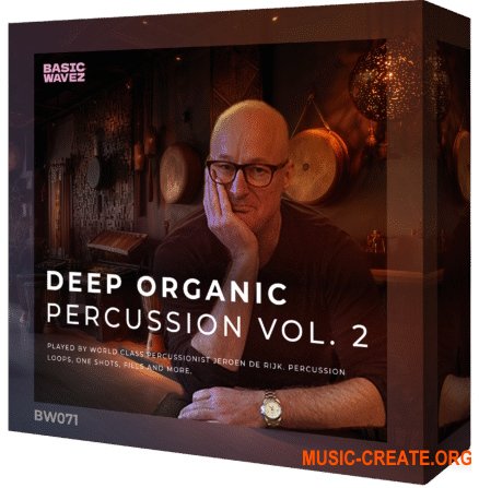 Basic Wavez Deep Organic Percussion Vol. 2 (WAV)