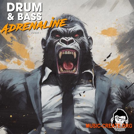 Vanilla Groove Studios Drum And Bass Adrenaline Vol 1 (WAV)