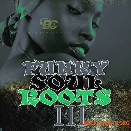 Big Citi Loops Funky Soul Roots 3 (WAV MiDi)