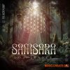 Black Octopus Sound Samsara Goa Trance By Blackwarp (WAV) Black Octopus Sound Samsara Goa Trance By Blackwarp (WAV)