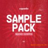 Esteban Calvet Coppados Sample Pack 001 (WAV MiDi) Esteban Calvet Coppados Sample Pack 001 (WAV MiDi)