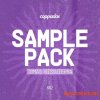 Esteban Calvet Coppados Sample Pack 002 (WAV MiDi) Esteban Calvet Coppados Sample Pack 002 (WAV MiDi)