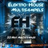 Lucid Samples Electro House Multi Samples (SF2)