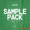 Esteban Calvet Coppados Sample Pack 003 (WAV) Esteban Calvet Coppados Sample Pack 003 (WAV)