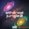 Thick Sounds Ethereal Jungle 2 (WAV MIDI Serum presets) Thick Sounds Ethereal Jungle 2 (WAV MIDI Serum presets)