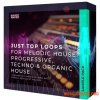 Basic Wavez Just Top Loops (WAV)