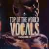 Black Octopus Sound Top Of The World Vocals Vol 2 (WAV MiDi Serum 2 Presets) Black Octopus Sound Top Of The World Vocals Vol 2 (WAV MiDi Serum 2 Presets)